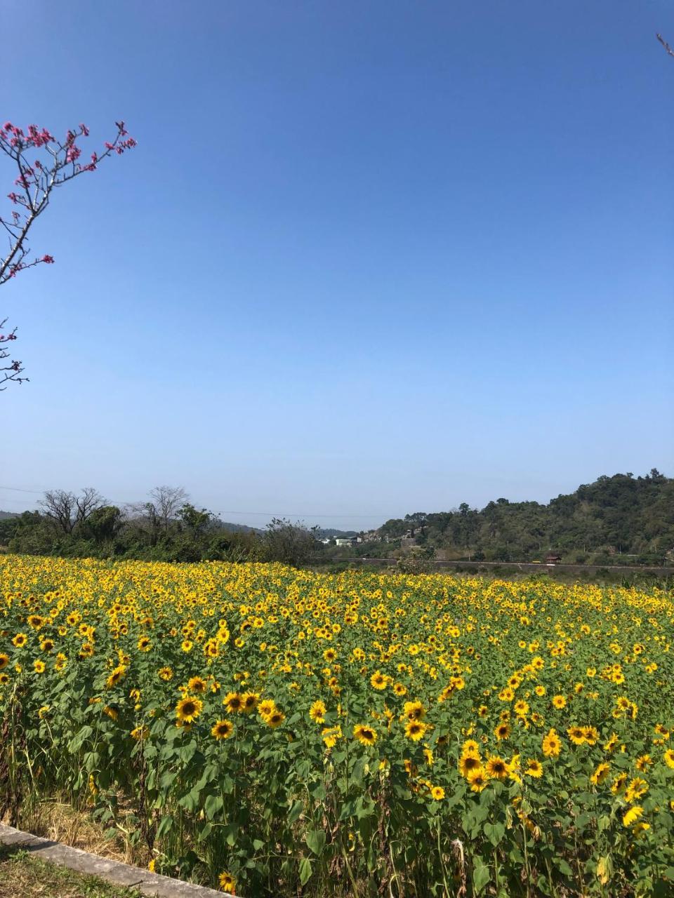 南庄漫晨旅店nanzhuang Manchen B&B Kültér fotó